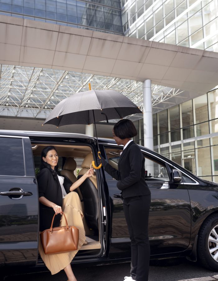 businesswoman-getting-taxi-cab(1) businesswoman-getting-taxi-cab(1)